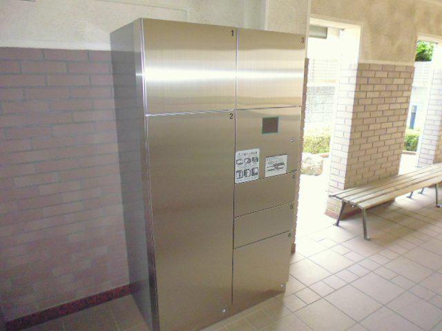 ステラ丸嶋