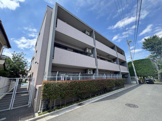 ステラ丸嶋