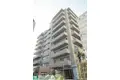 DAIWA GRACE MAISON 大島II