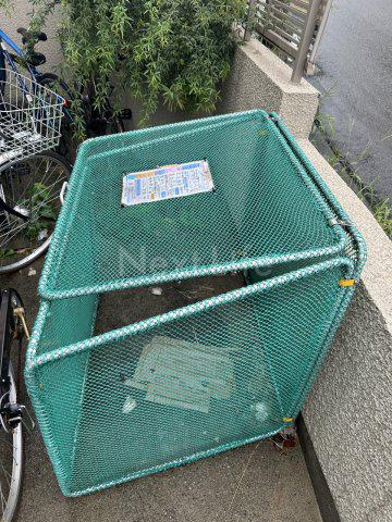 ラカーサミア