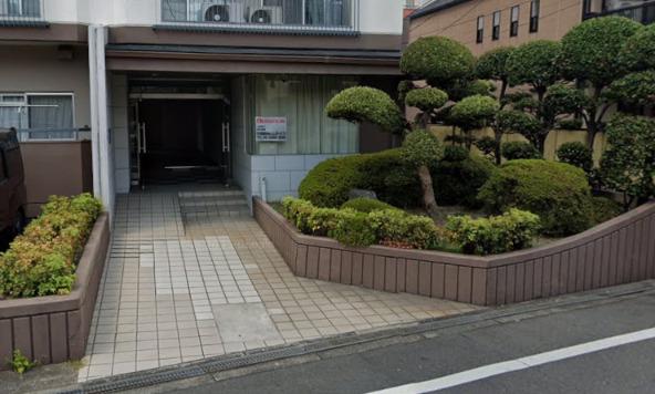 ホワイトシャンボール