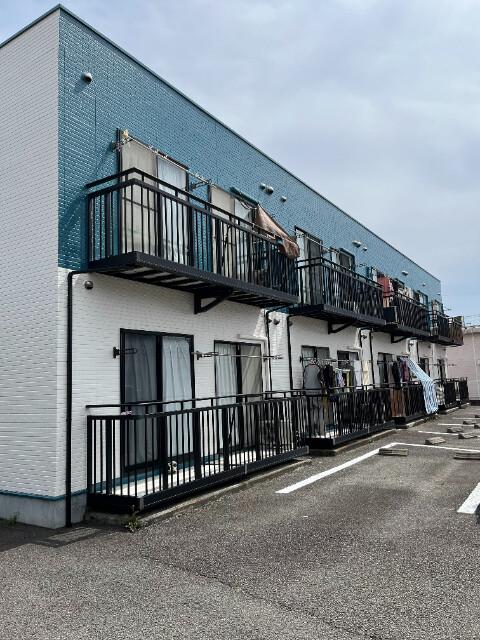 ピュア ファースト