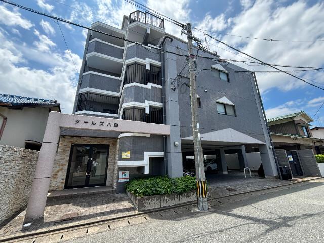 シールズ八田