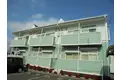 エミール指柳