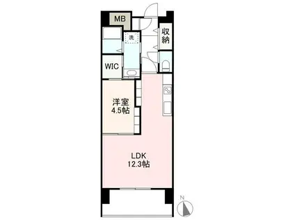 アルファレジデンス観光通(1LDK/4階)の間取り写真