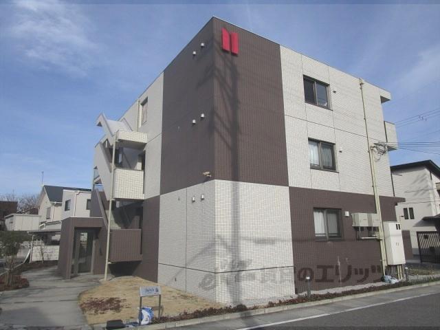 サルビア
