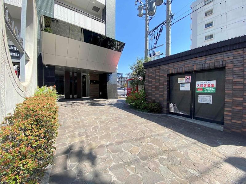 シグナス
