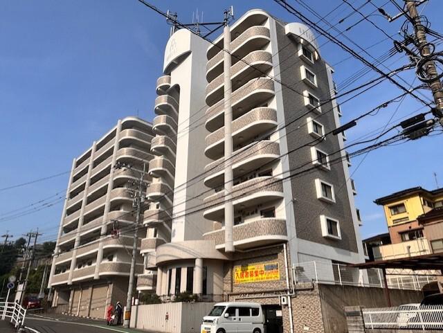 オークランドアサート折尾