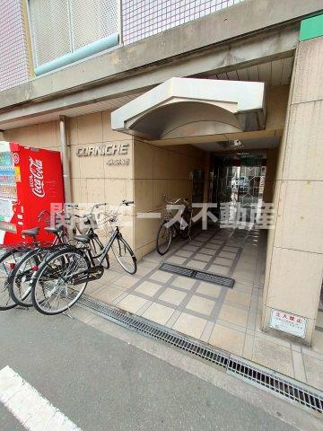 コーニッシュ長瀬