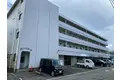 グリーンエース