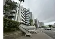 パームスクエアージェームス山