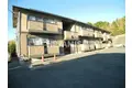 ウィルモアKT
