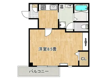 エヌエムスワサントドゥイースト(1K/1階)の間取り写真