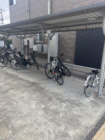 シャンドラ II