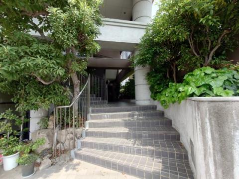 ソロモンテ