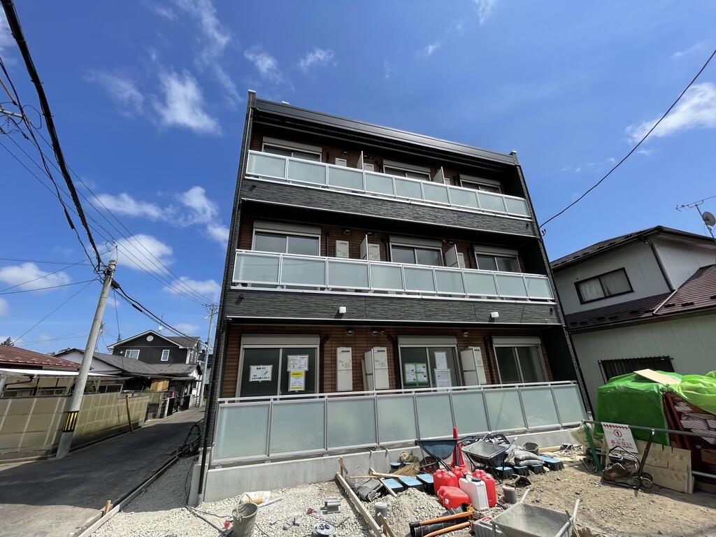 CALM一本杉