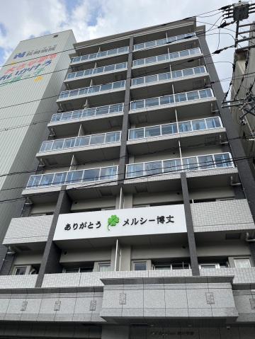 メルシー博丈
