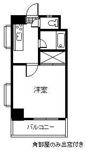 柳丸コーポ 南棟(1K/6階)の間取り写真