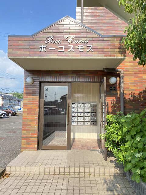 ボー・コスモス