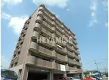 ANNEX-31VI