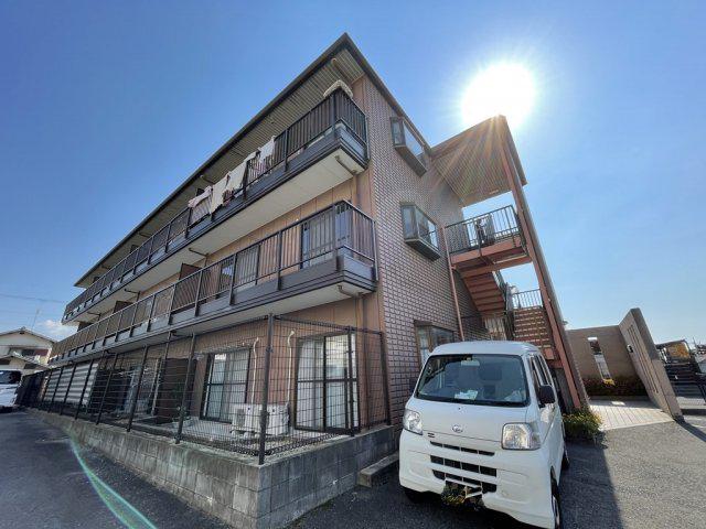 SELLEYS金剛