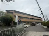 マーサ南野