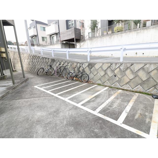 アムールシュシュII