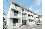 カモミール