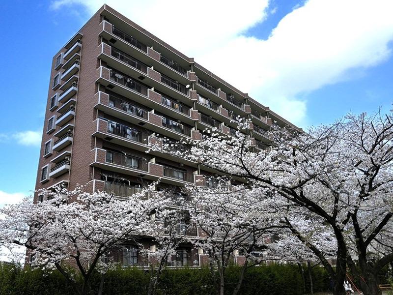 コーポレート上戸田(2LDK/6階)