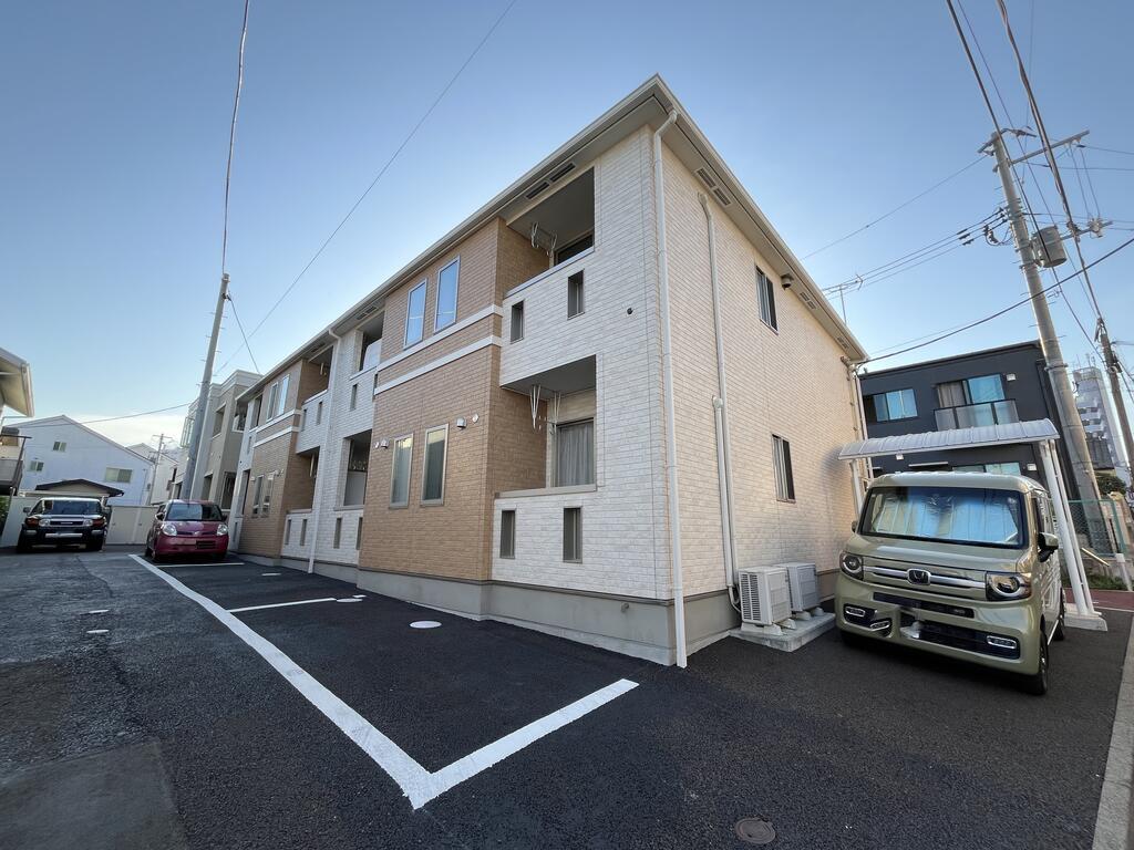 サンセベリアIII