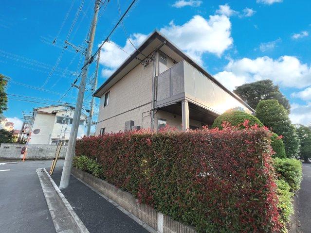 グリーンリーブスタチバナA