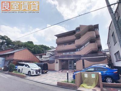 ベルドミール藤
