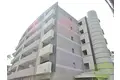 ルーセント菅原