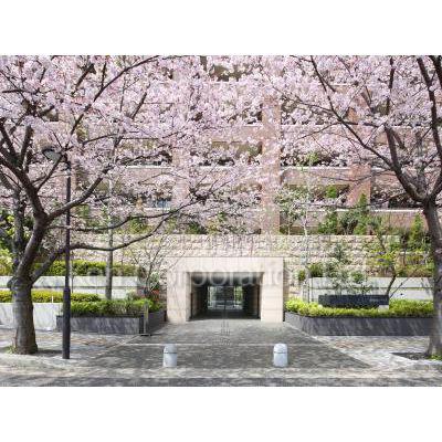 御殿山ハウス