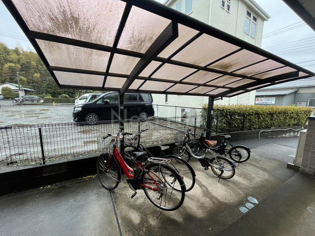 ノベル ヨコハマ スゲタ