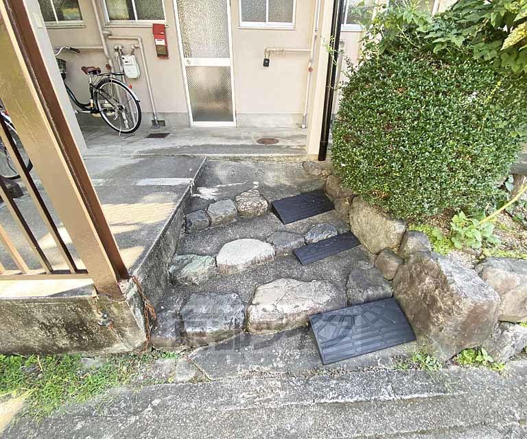 コジィ・ハイツ