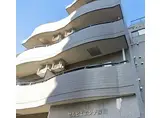 セルピエンテ深川