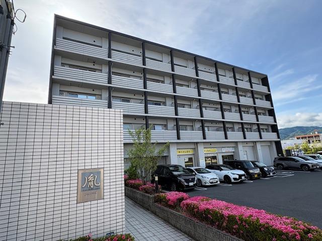 サクシード胤