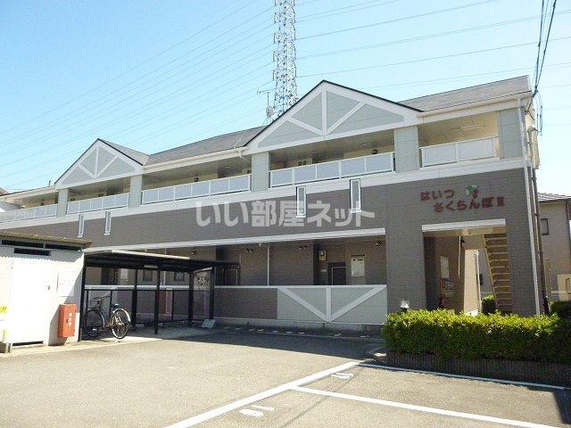 はいつさくらんぼIII