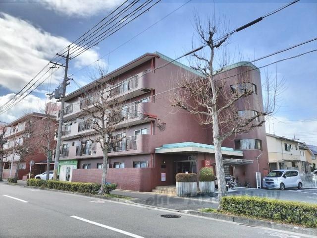 ロココ桂