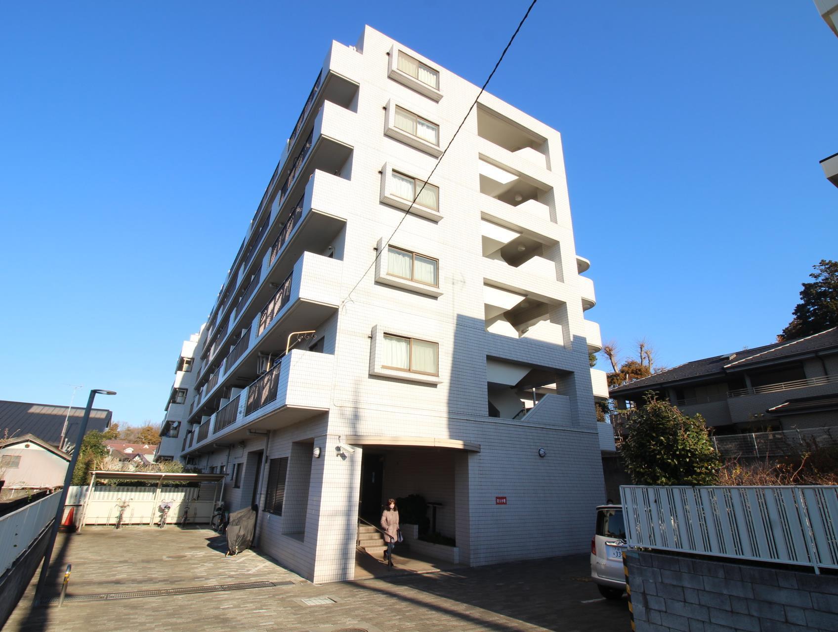 アルス北柏