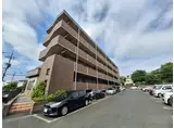 アビタシオン花の樹