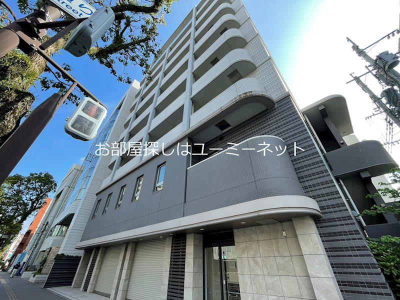 D FOREST 甲南