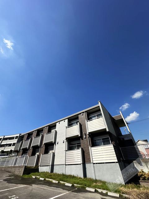 ミランダサウス VIEW