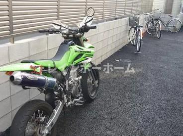 バンブーグローブ