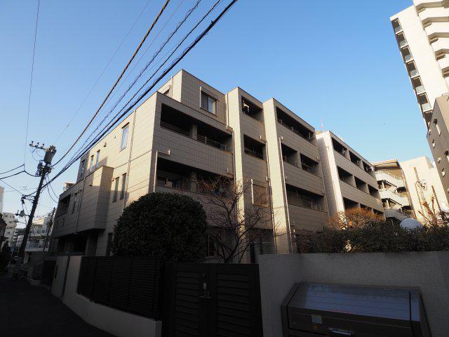 ガーデン カメリア