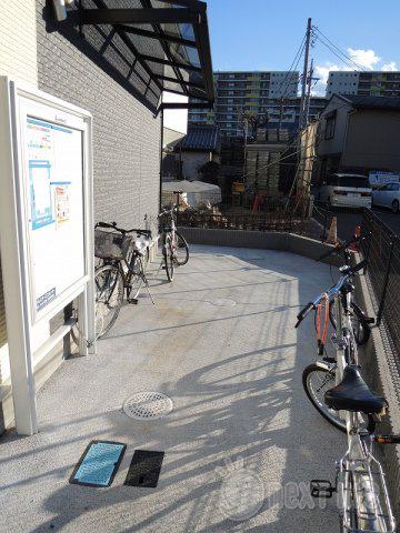 レオネクストカイトネストII