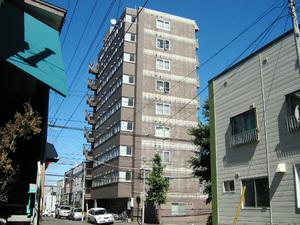 MOREHONGO