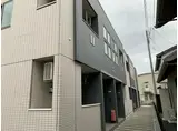 コーンポピー