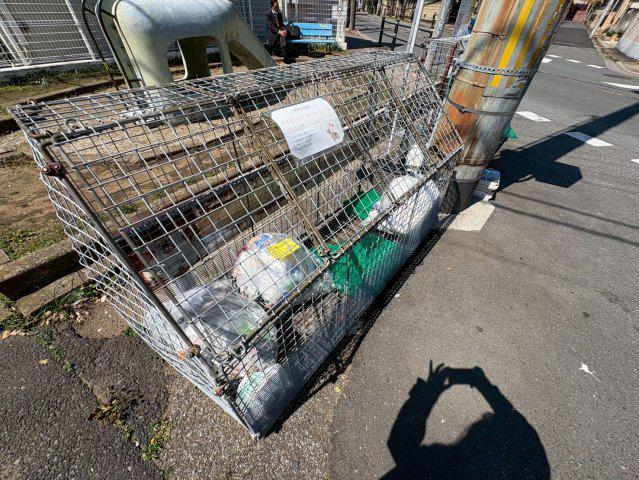 ベルピア菅野